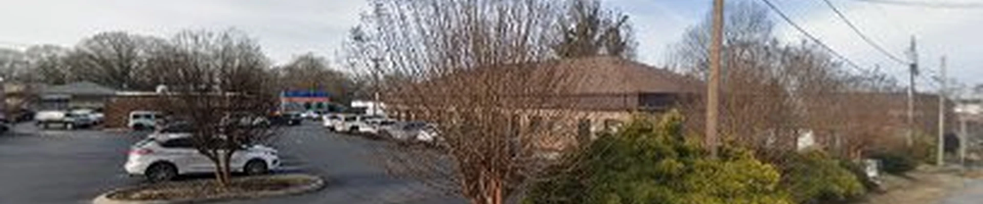High Point Tree Services