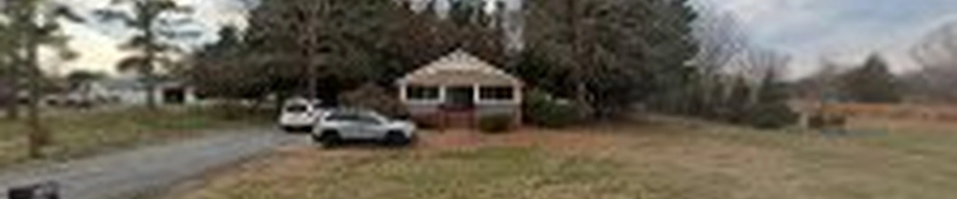 Greensboro Tree Service