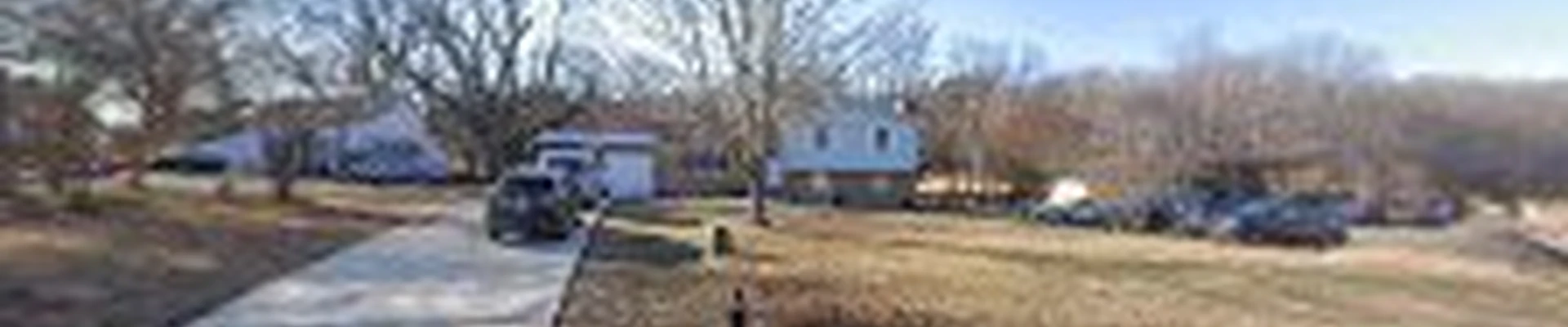 Triad Tree Removal