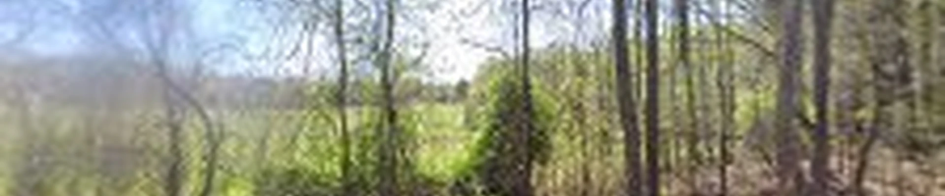 AMERICAN MADE TREE SERVICE LLC