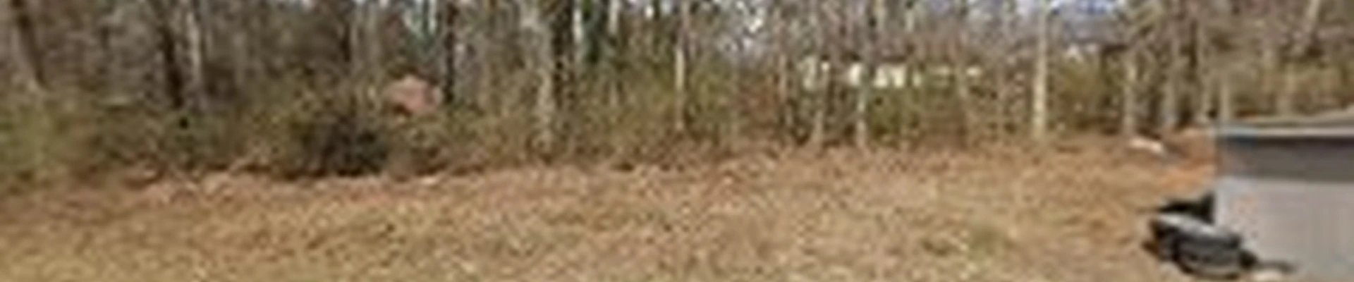 Isaac's Tree Service & More