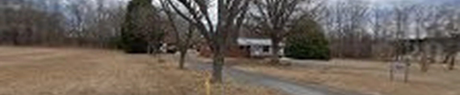 AAA Tree Service