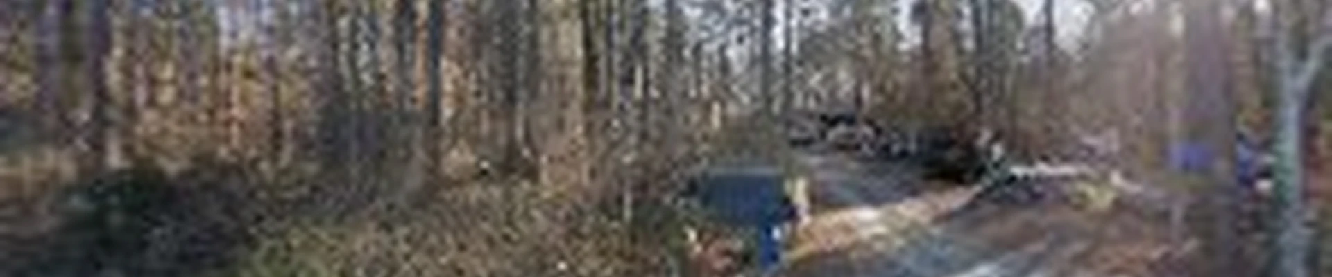 CNC Tree Service