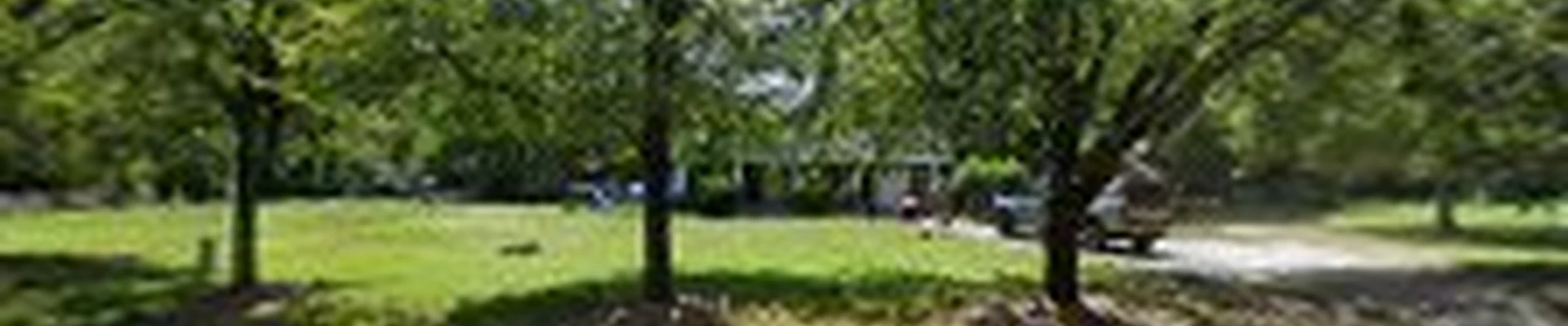 A Better Choice Tree Care LLC