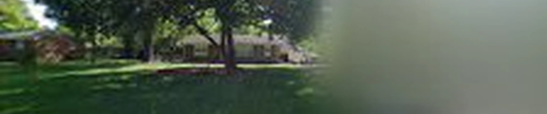 GT's Tree Service