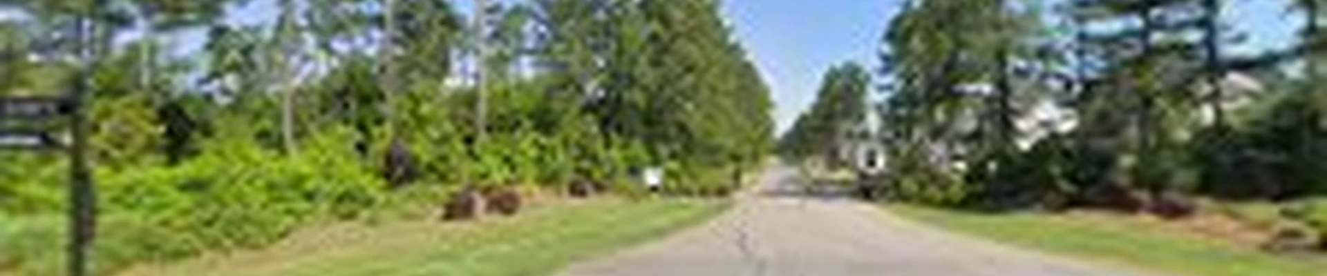 Meier & Sons Tree Service (Fully Insured)