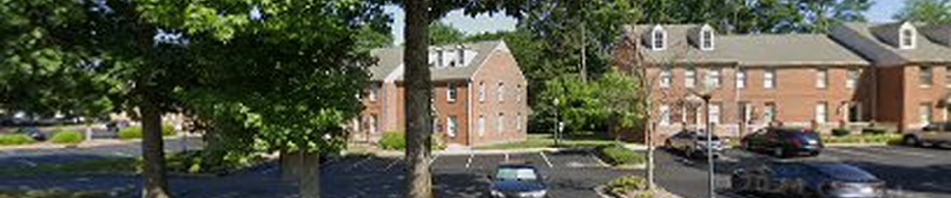 Tree Service Burlington, NC