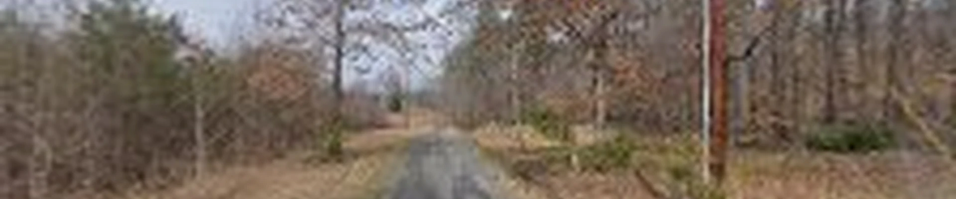 Joyce's Tree Service