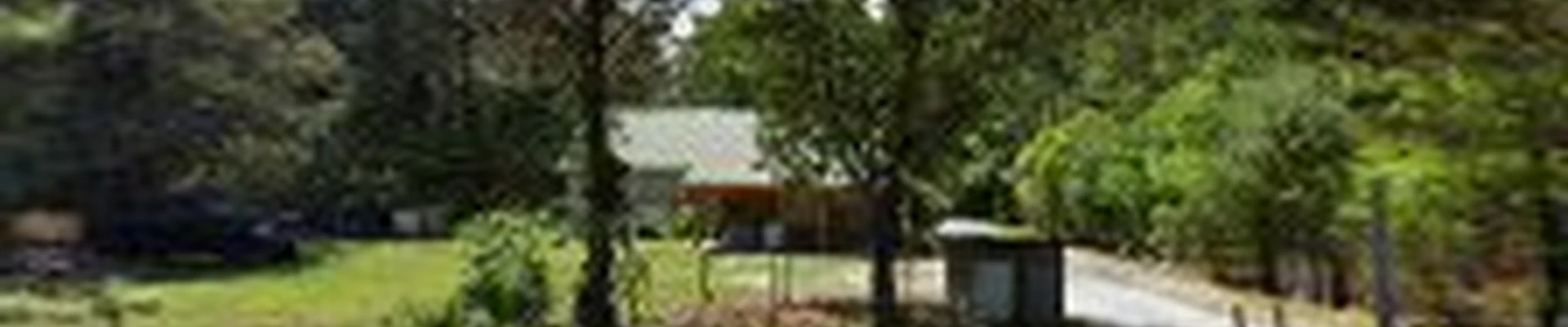 Aldana's Tree Service Llc