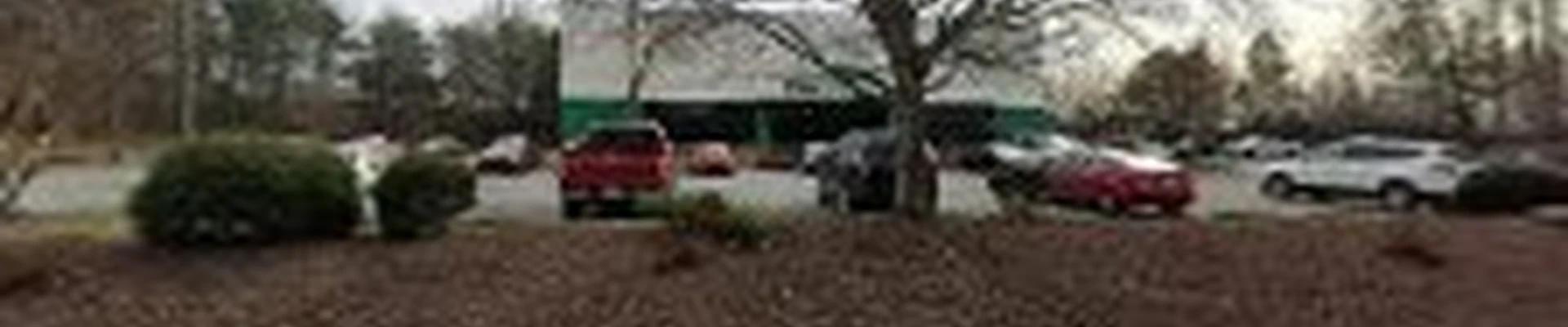 TruGreen Lawn Care