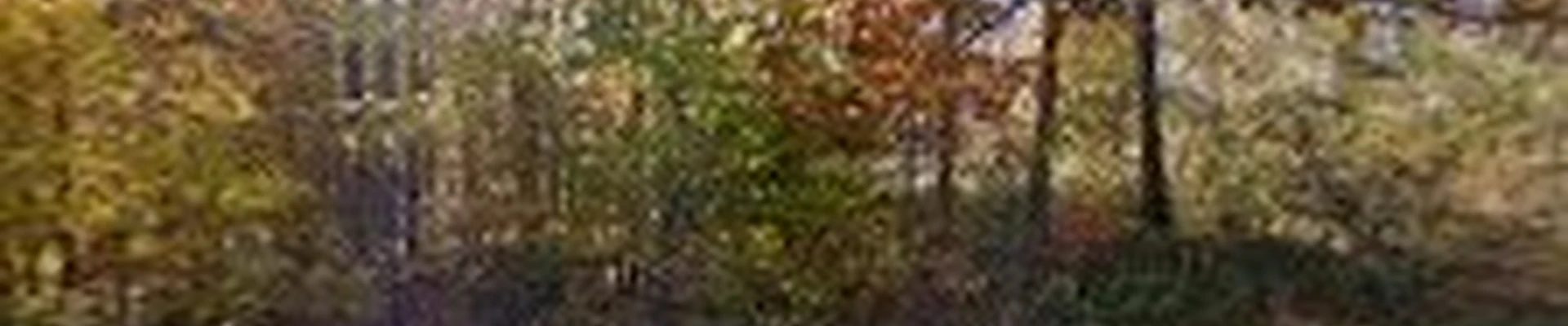 R & J Tree Service Inc.