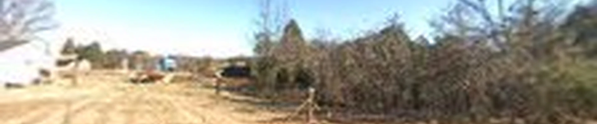 Lawson's Tree Services