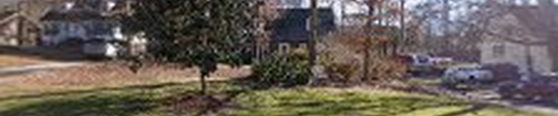 Pruitt Stump Grinding