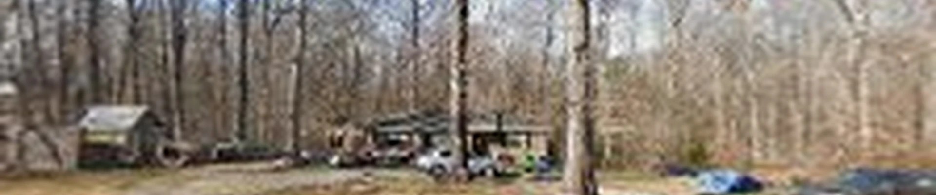 Southern Pride Tree Services