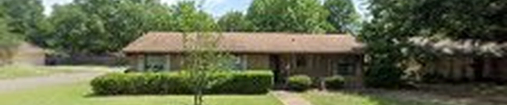 Arborwise Tree Care