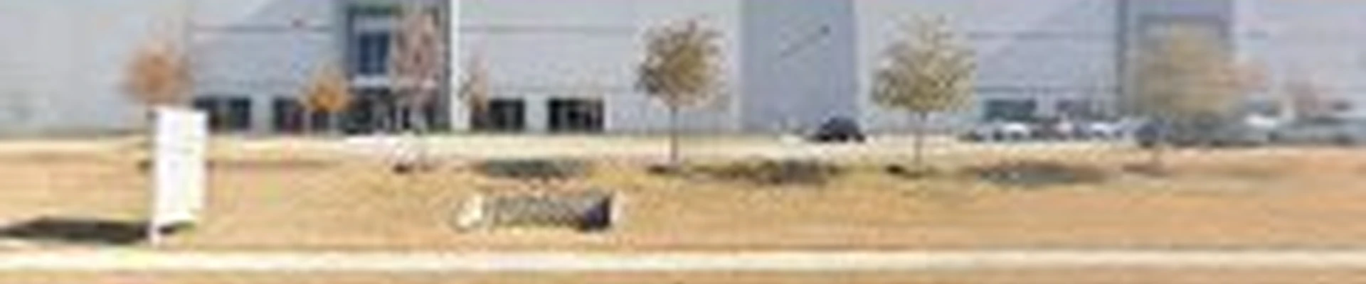 Master Tree Removal of Frisco