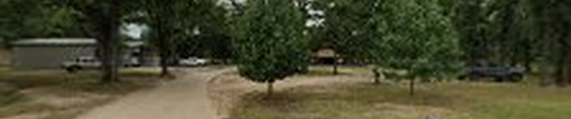 Mercer Tree Service