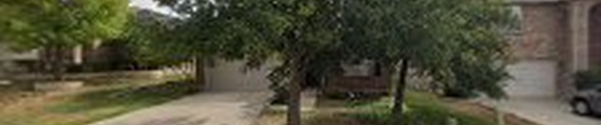Texas Best Tree Co