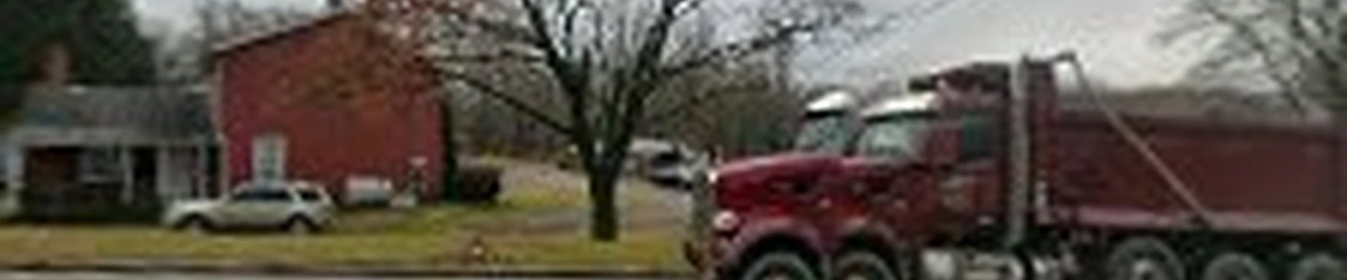 United Tree Specialists