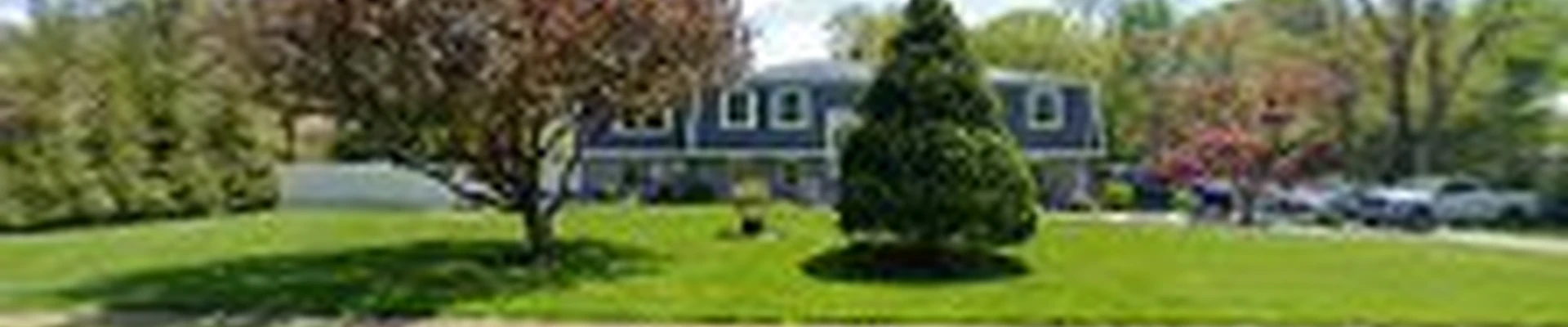 High Class Tree Service