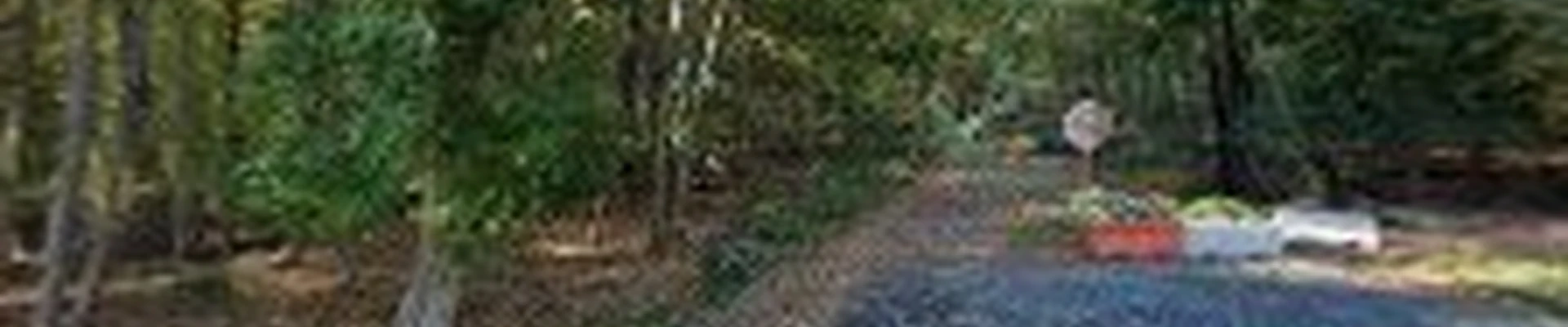 Rockaway NJ Tree Service
