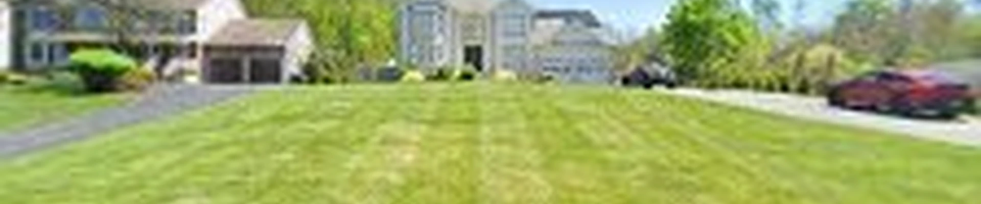 Safari Tree Service & Landscaping LLC
