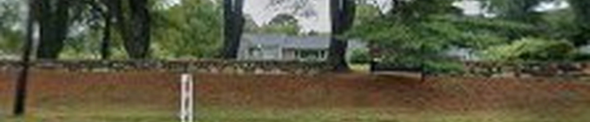All price tree service