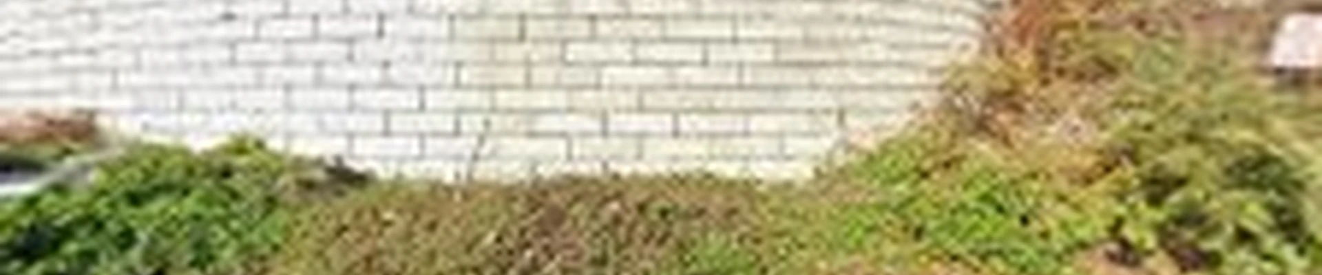 PT&M Homes, LLC