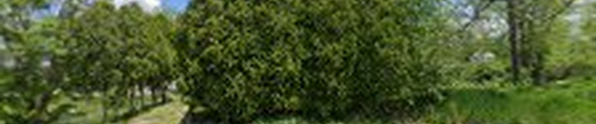 R K's Tree Services Inc