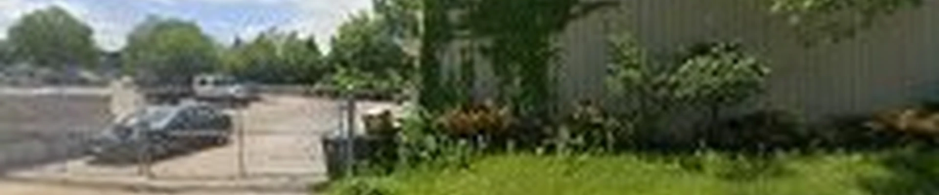 Bugg Tree Care