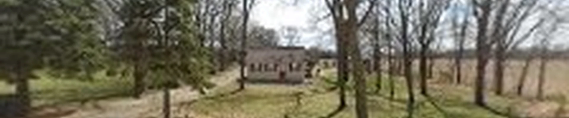 Horizon Tree Service Inc