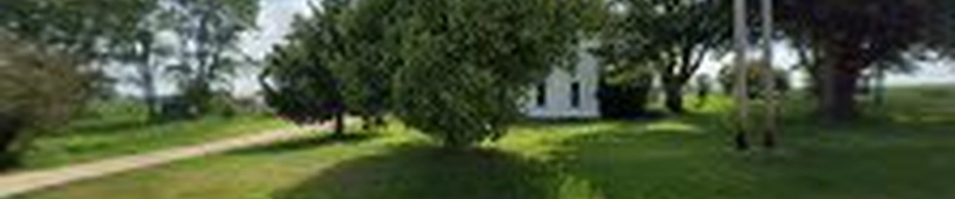 Triangle Tree Care LLC