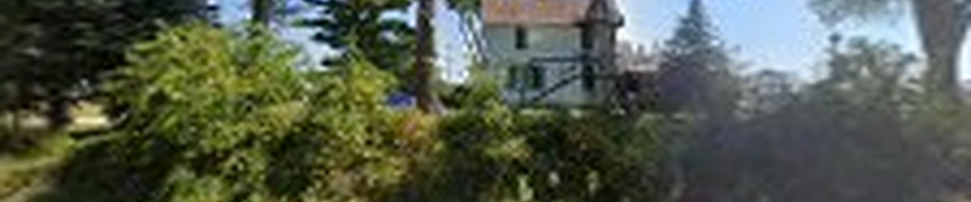 Madsaw Tree Service LLC