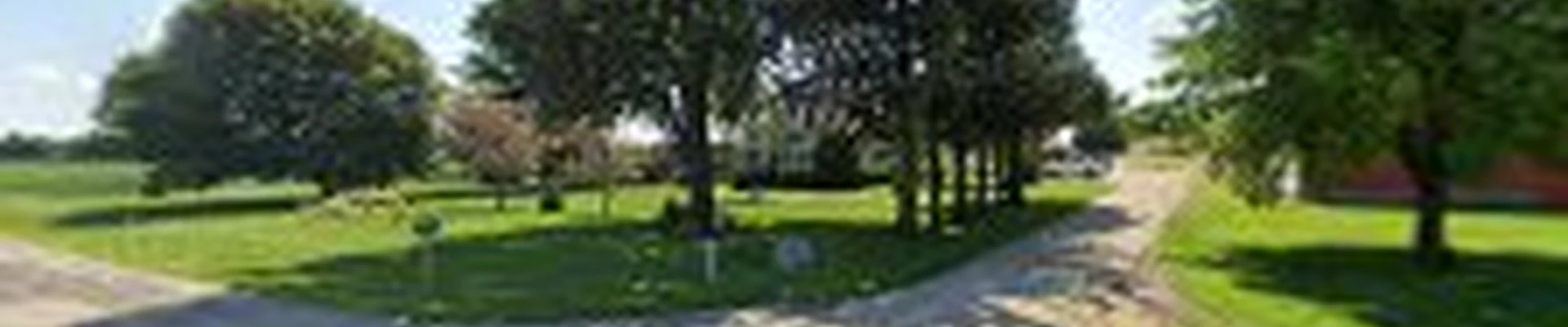 Clift Tree Services