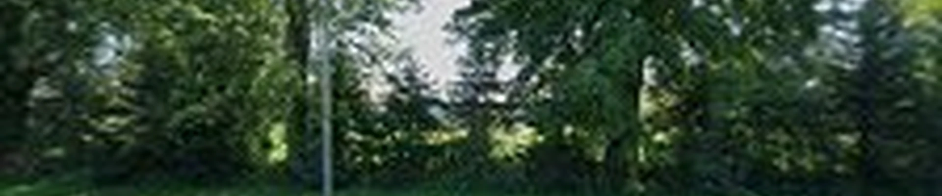 K&A Tree Service LLC