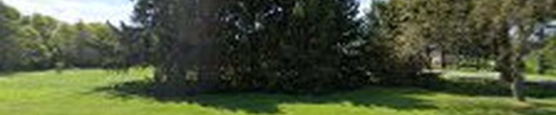 Tree Wise Men LLC