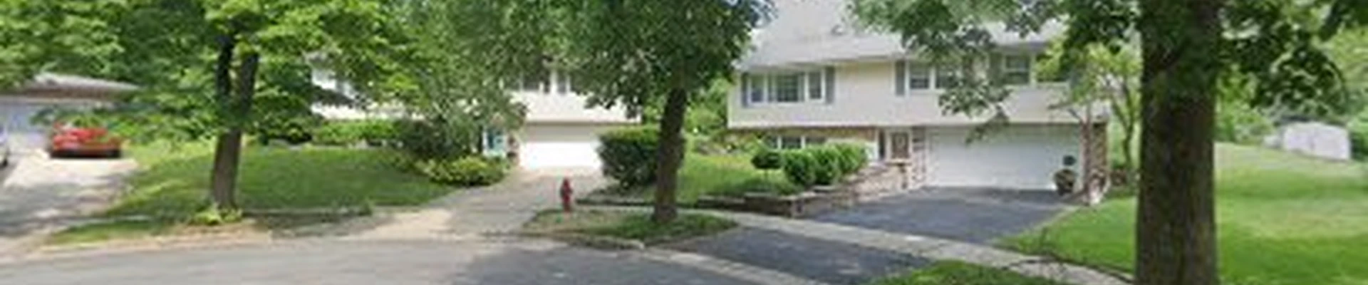 Mac Tree Care Pros