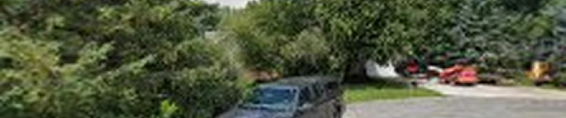 EKJ Tree Service