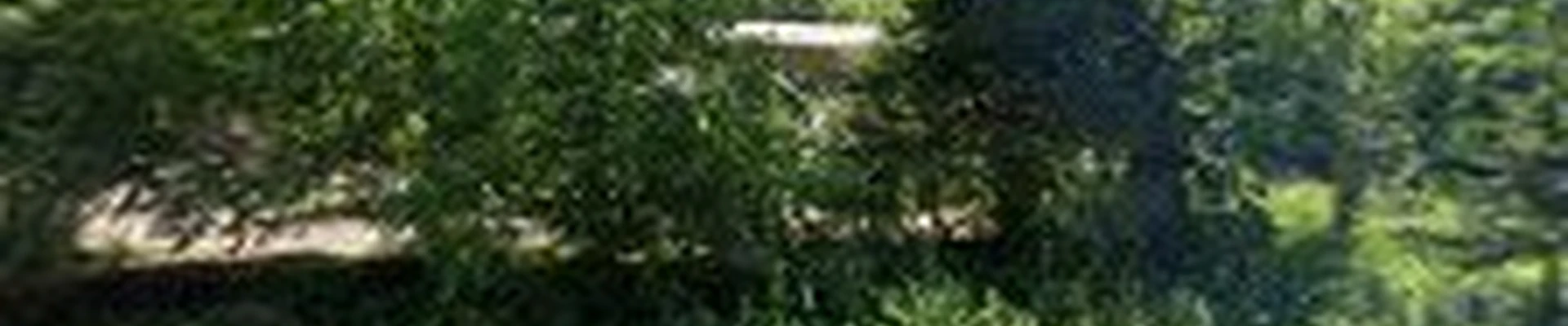 Tim Andrews Horticulturist LLC