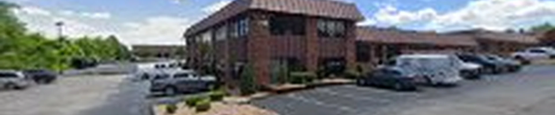 Monster Tree Service of St. Louis