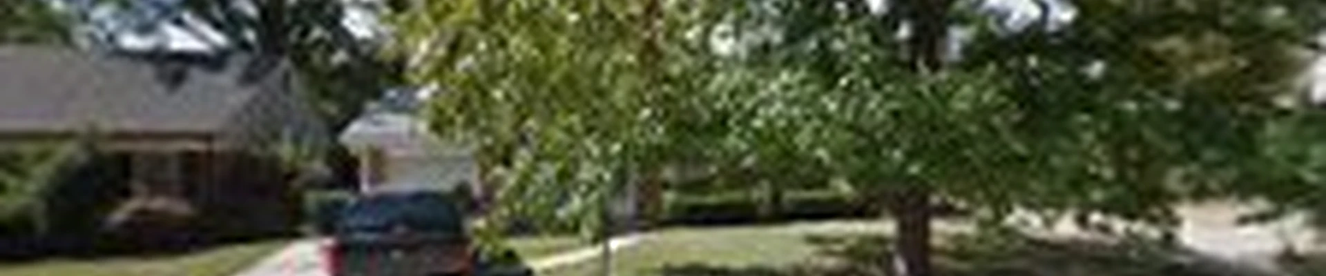 LumberZach Tree Care and Consulting