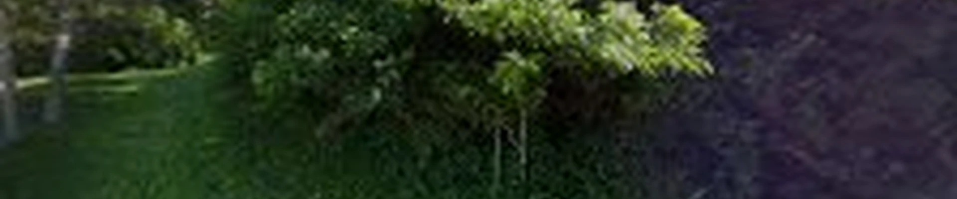 Ottiger Tree Service LLC