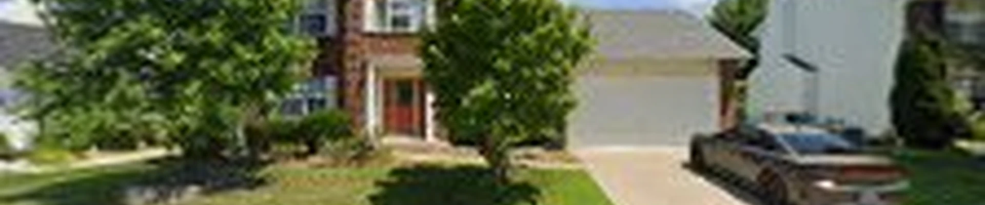 Accurate Tree Service