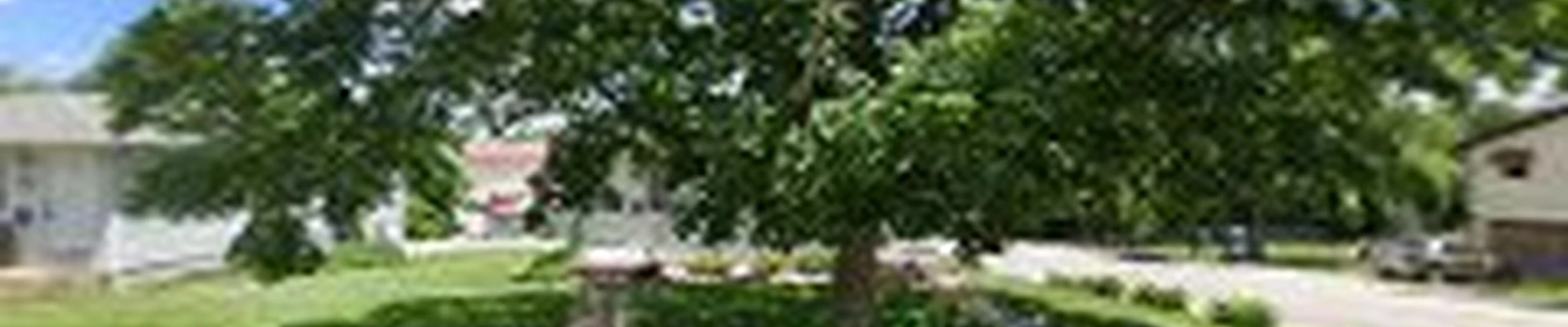 Midwest Tree Service / Ben Secrease, Owner