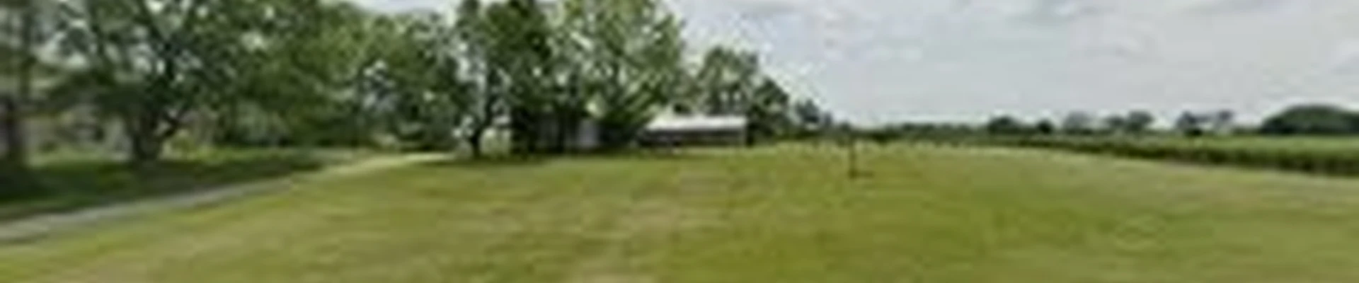 All Type Tree Service