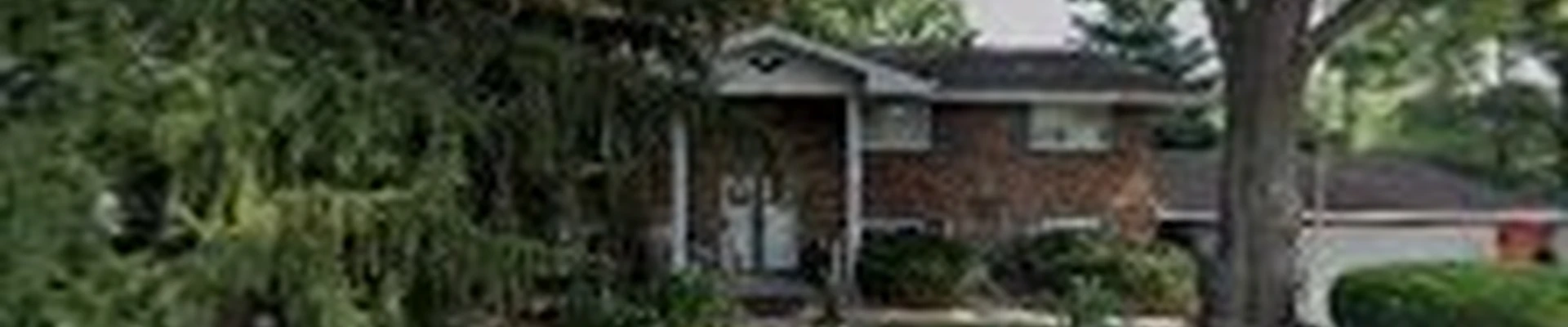 Donn's tree Service