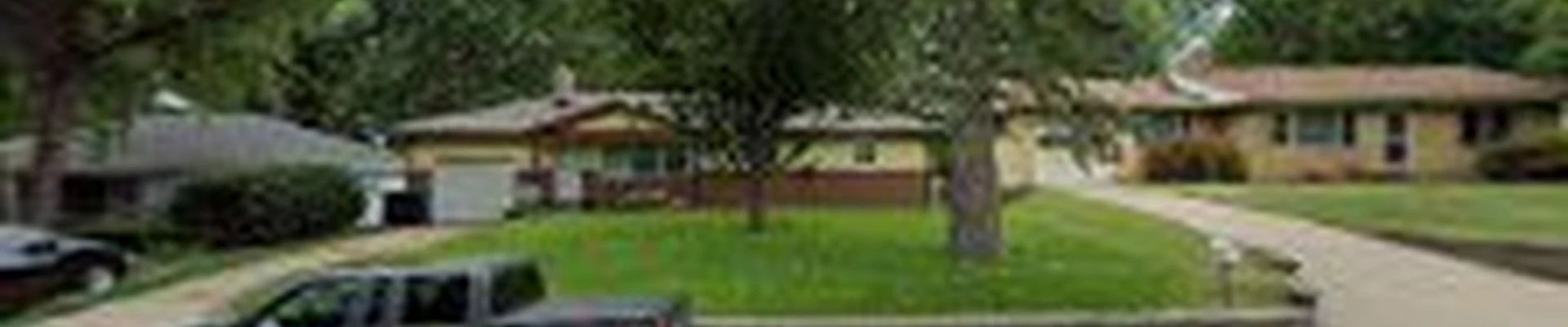 ocampo tree services LLC