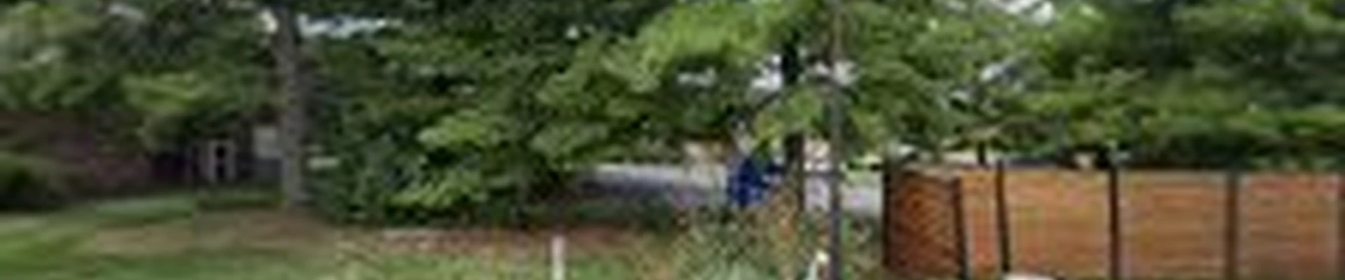Arbor Management