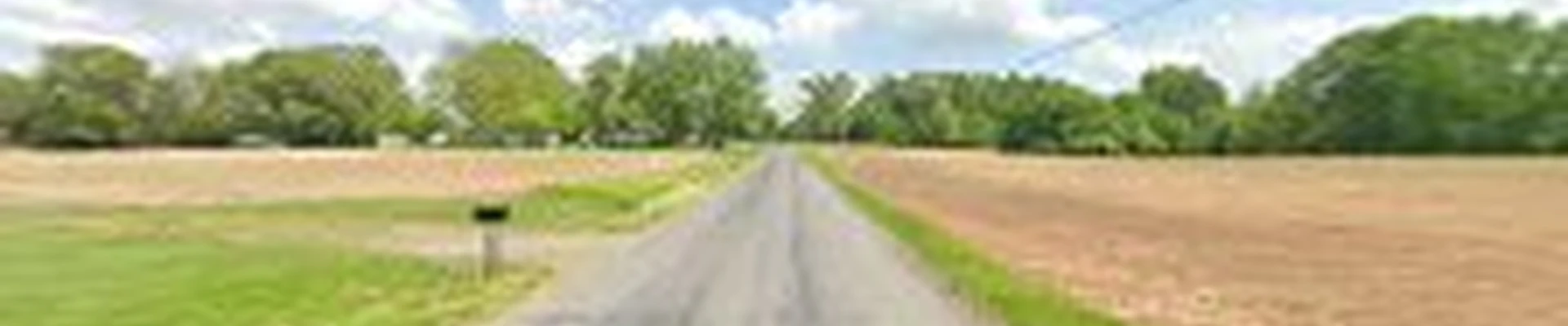 Abundant Tree Care Services
