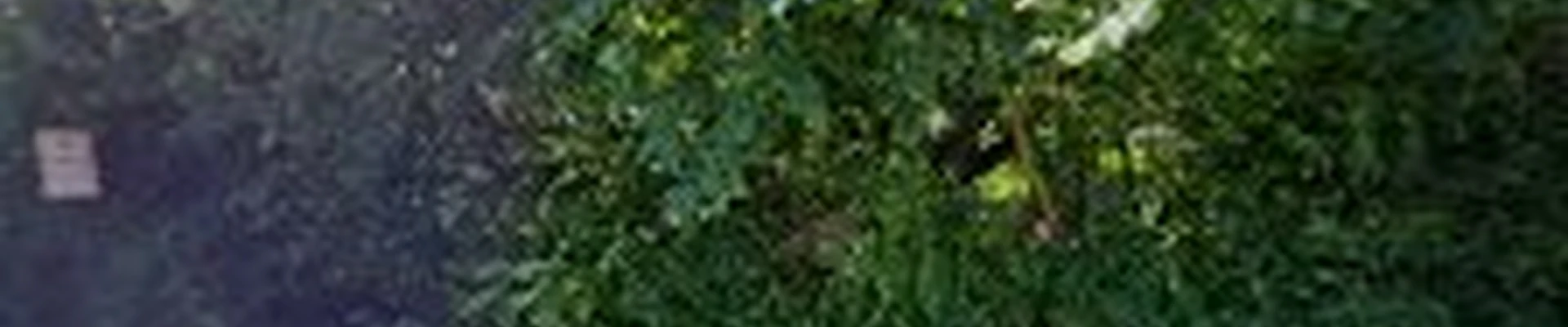 Off The Top Tree Service LLC